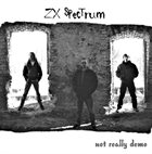 ZX SPECTRUM Not Really Demo album cover