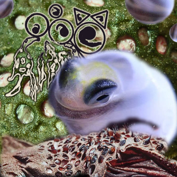 TOAD BIRTH - Envisage A Collembolans Catenator (with Adam Rotella) cover 