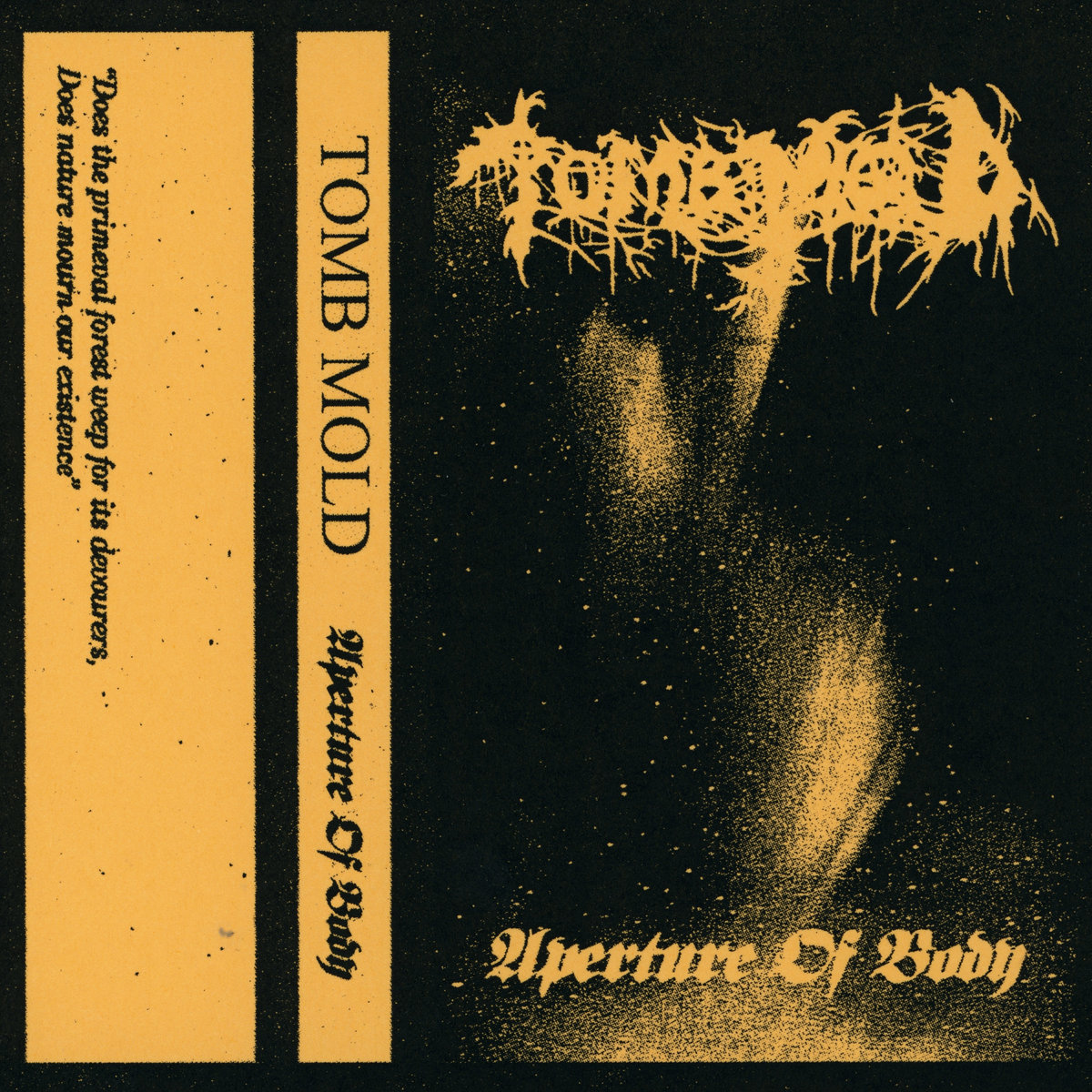 TOMB MOLD - Aperture Of Body cover 