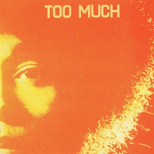 TOO MUCH - Too Much cover 