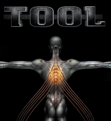 TOOL - Salival cover 