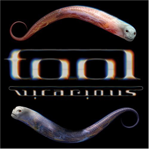 TOOL - Vicarious cover 