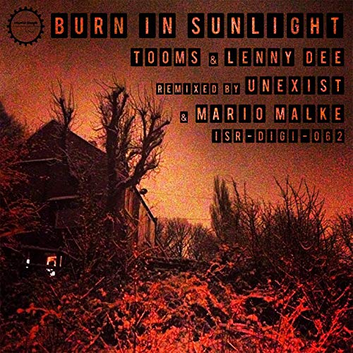 TOOMS - Burn In Sunlight (with Lenny Dee) cover 