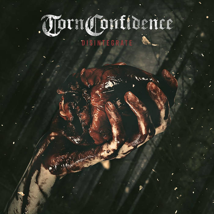 TORN CONFIDENCE - Disintegrate cover 