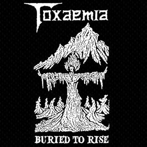 TOXAEMIA - Burried to Rise: 1990 - 1991 Discography cover 