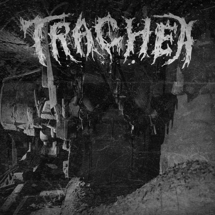 TRACHEA - Trachea cover 