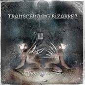 TRANSCENDING BIZARRE? - The Serpent's Manifolds cover 