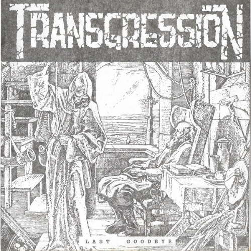 TRANSGRESSION - Beauty / Last Goodbye cover 