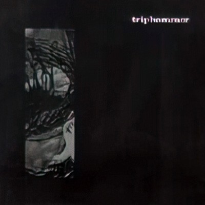 TRIPHAMMER (UT) - Triphammer cover 