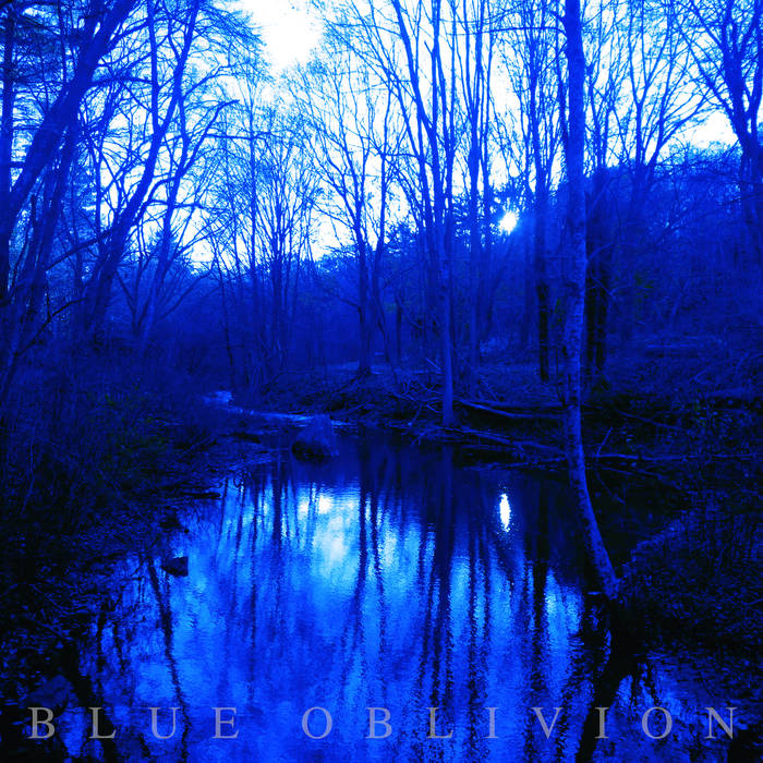 TRUTHSEEKER - Blue Oblivion cover 