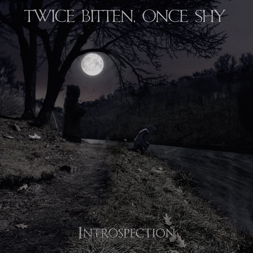 TWICE BITTEN ONCE SHY - Introspection cover 