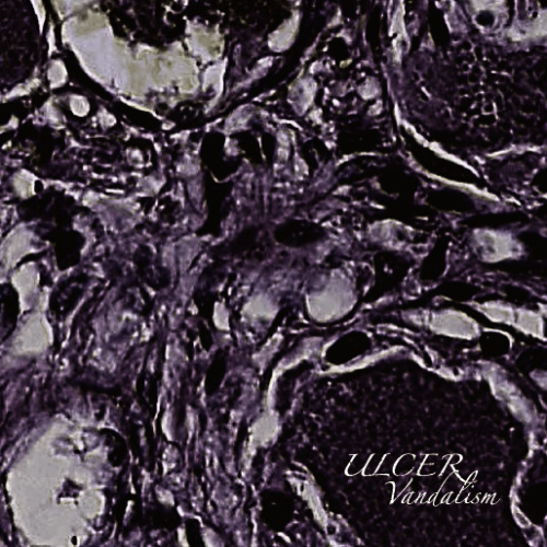 ULCER - Vandalism cover 