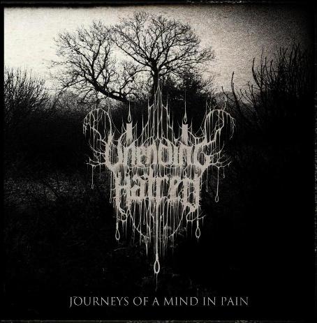 UNENDING HATRED - Journeys Of A Mind In Pain cover 
