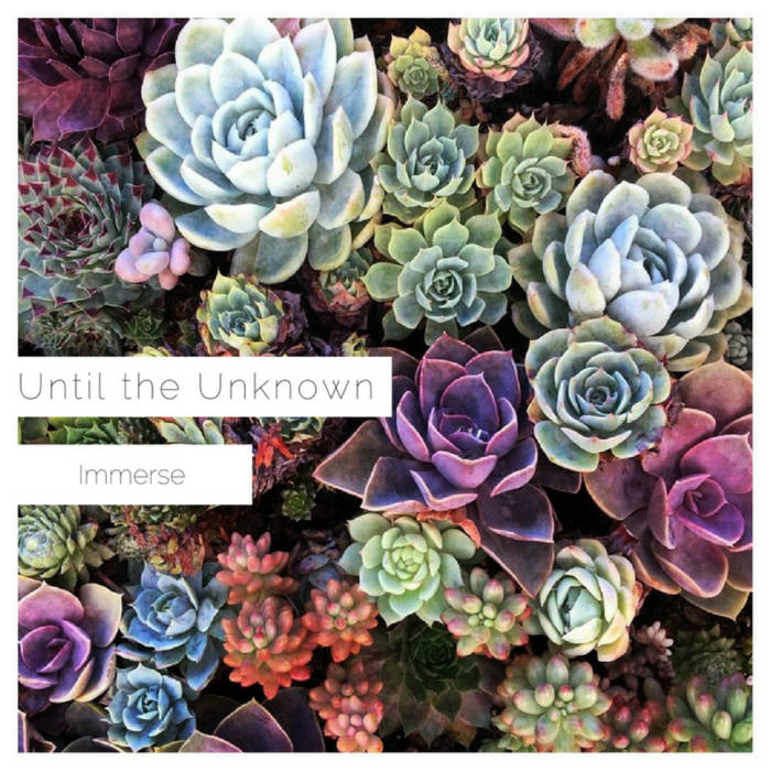 UNTIL THE UNKNOWN - Immerse cover 