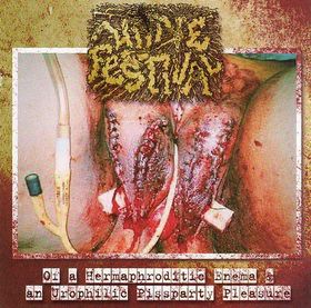 URINE FESTIVAL - Of a Hermaphroditic Enema and an Urophilic Pissparty Pleasure cover 