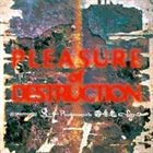 VAGERKE - Pleasure Of Destruction cover 