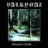 VALKYNAZ - Forgotten Paths. . . . cover 