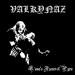 VALKYNAZ - Love's Funeral Pyre cover 