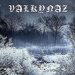 VALKYNAZ - Valkynaz cover 