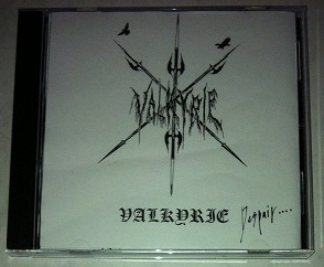 VALKYRIE (TOKYO) - Despair... cover 