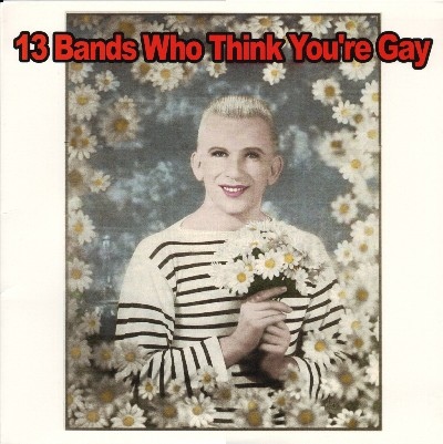 VARIOUS ARTISTS (GENERAL) - 13 Bands Who Think You're Gay cover 