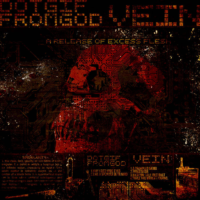 VEIN.FM - A Release Of Excess Flesh cover 