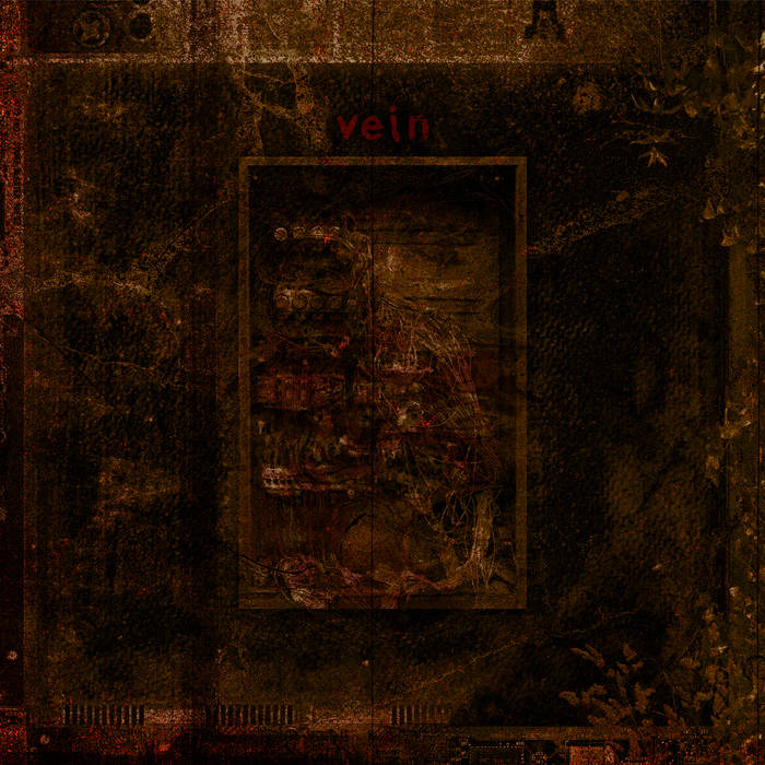 VEIN.FM - Self-Destruct cover 