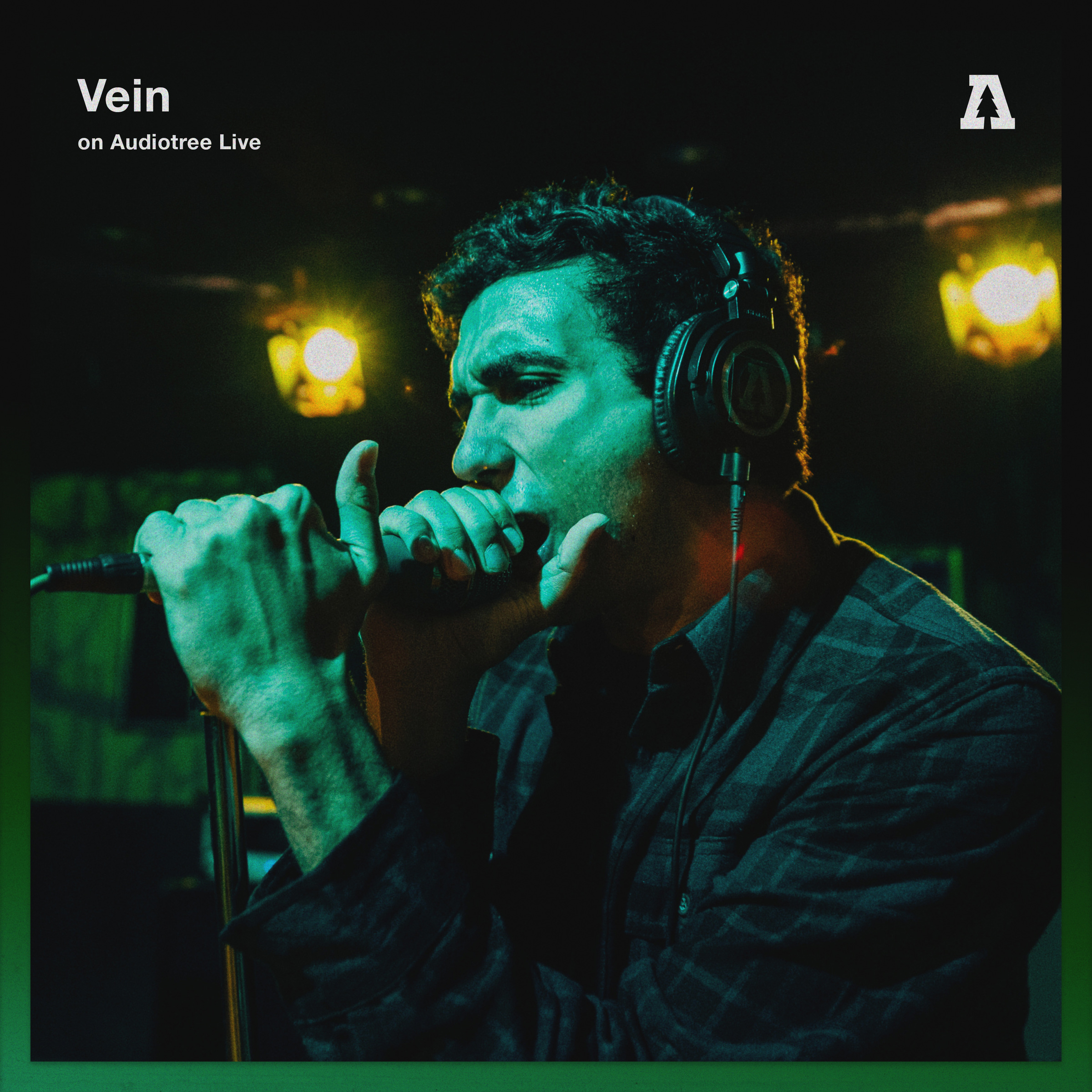 VEIN.FM - Vein On Audiotree Live cover 