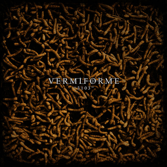 VERMIFORME - 3103 cover 