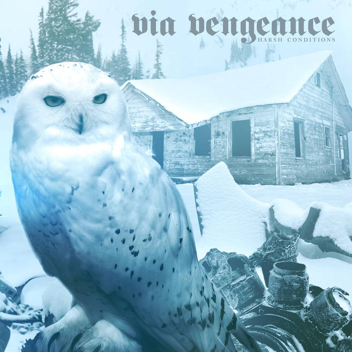 VIA VENGEANCE - Harsh Conditions cover 
