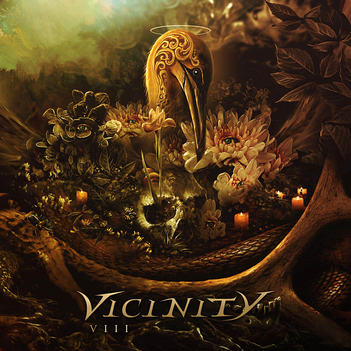 VICINITY - VIII cover 