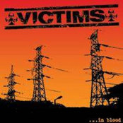 VICTIMS - ... In Blood cover 