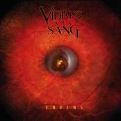 VIDRES A LA SANG - Endins cover 