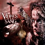 VIDRES A LA SANG - Som cover 