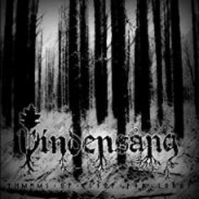 VINDENSÅNG - Themes of Snow and Sorrow cover 
