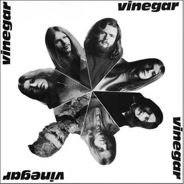VINEGAR - Vinegar cover 