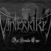 VINTERRIKET - Det svake lys cover 