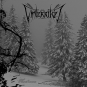 VINTERRIKET - Firntann cover 