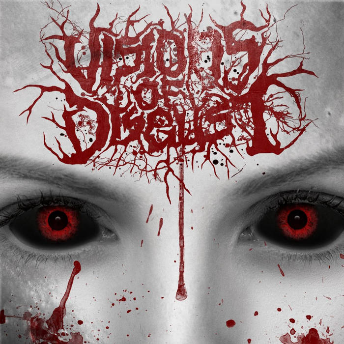 VISIONS OF DISGUST - Visions Of Disgust cover 