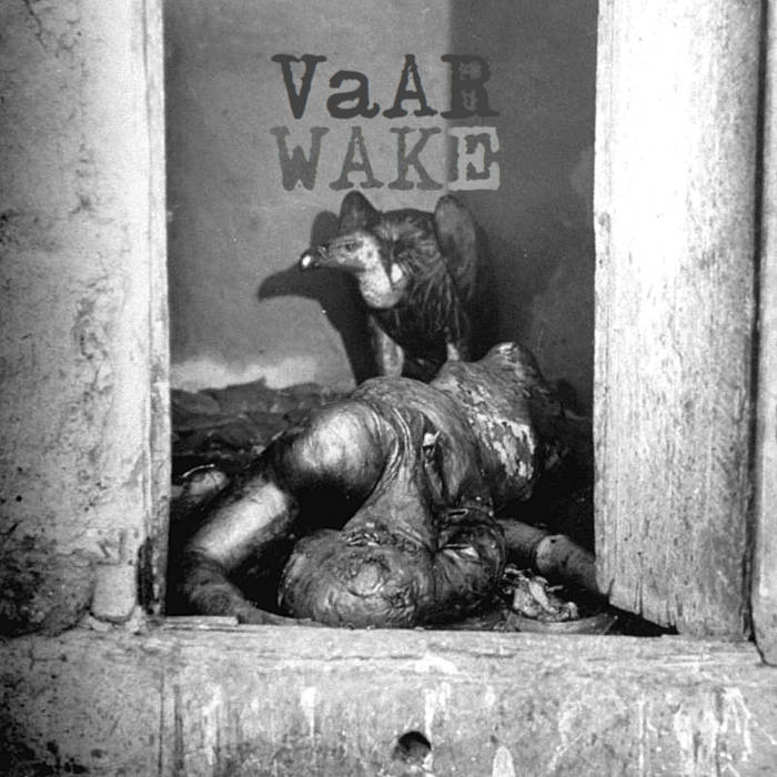 VULTURES AT ARMS REACH - Wake cover 