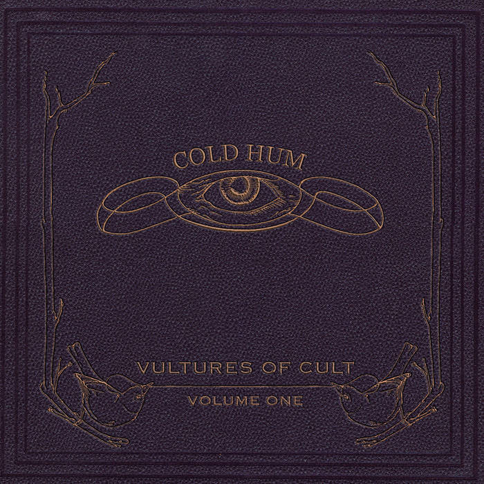 VULTURES OF CULT - Cold Hum cover 