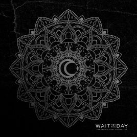 WAIT FOR THE DAY - The Losing Sight Collection cover 