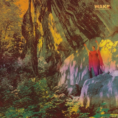 WAKE - Thought Form Descent cover 