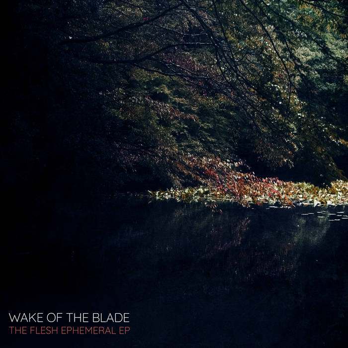 WAKE OF THE BLADE - The Flesh Ephemeral EP cover 