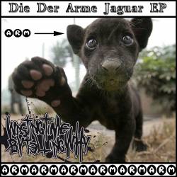 WASTING TIME BY TELLING WHY - Die Der Arme Jaguar cover 