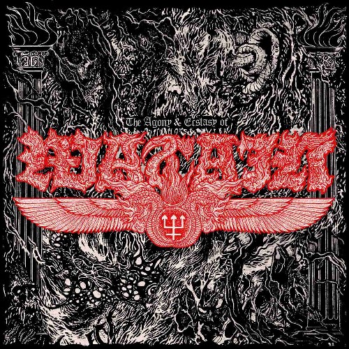 WATAIN - The Agony & Ecstasy of Watain cover 