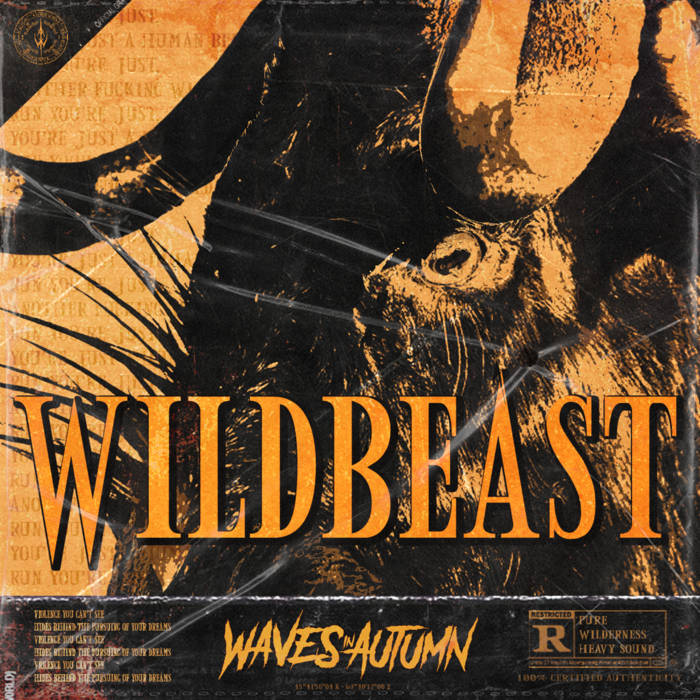 WAVES IN AUTUMN - Wildbeast cover 