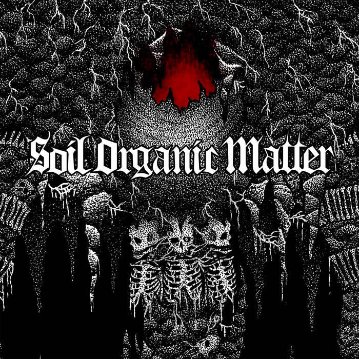 WAYWARD DAWN - Soil Organic Matter cover 