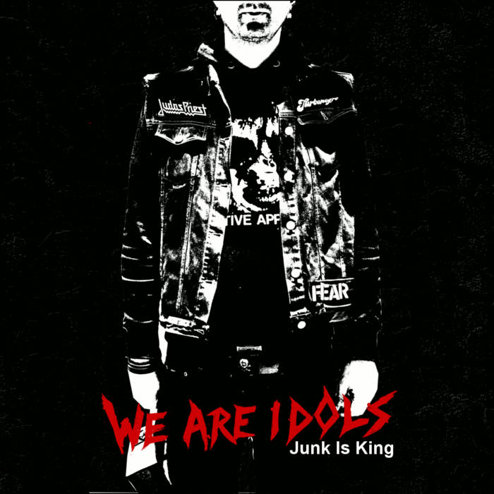 WE ARE IDOLS - Junk Is King cover 