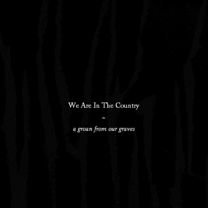 WE ARE IN THE COUNTRY - A Groan From Our Graves cover 